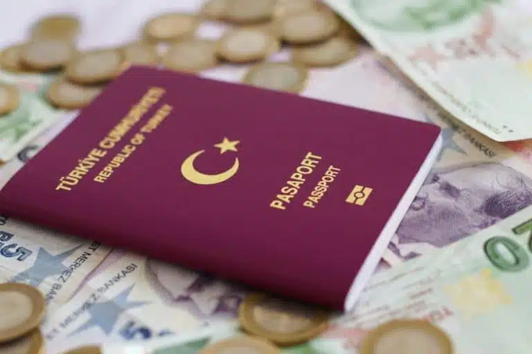 Exploring the Turkish Lira: